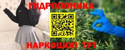 прущая мука Шебекино