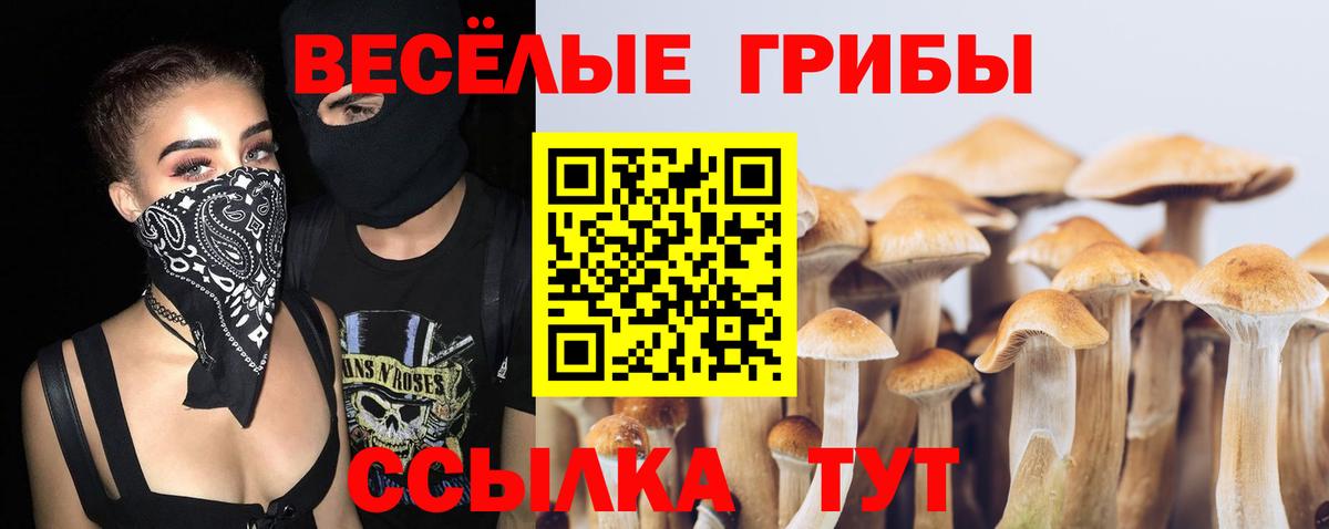 Урай  Псилоцибиновые грибы Psilocybe  Вход с VPN 